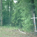 love cross 285-west