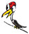 bird