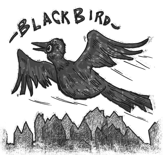 black bird