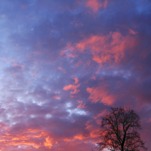 briarcliff sunset