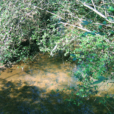 emerald lake creek