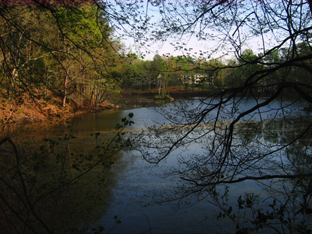 emerald lake