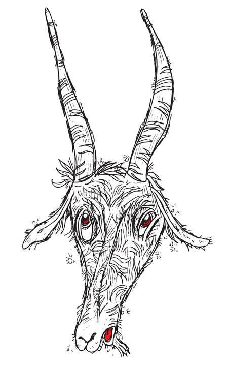 fur goat