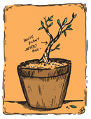 house plant