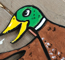 duck