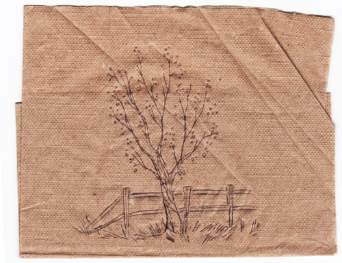 napkin tree