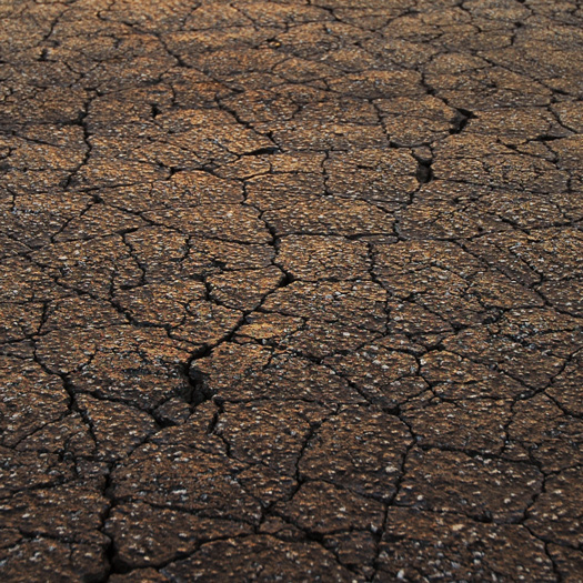 pavement cracks