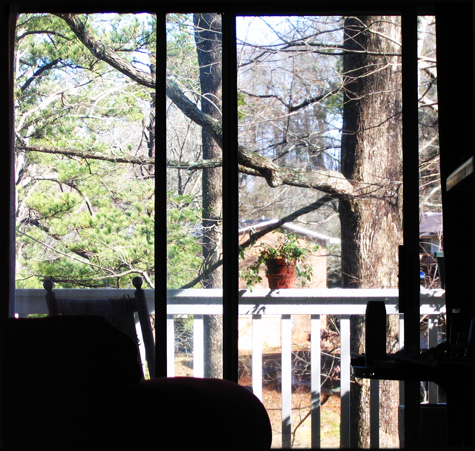 porch view