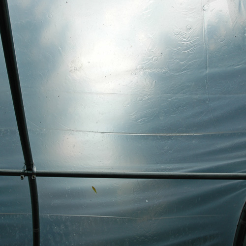 rain on roof