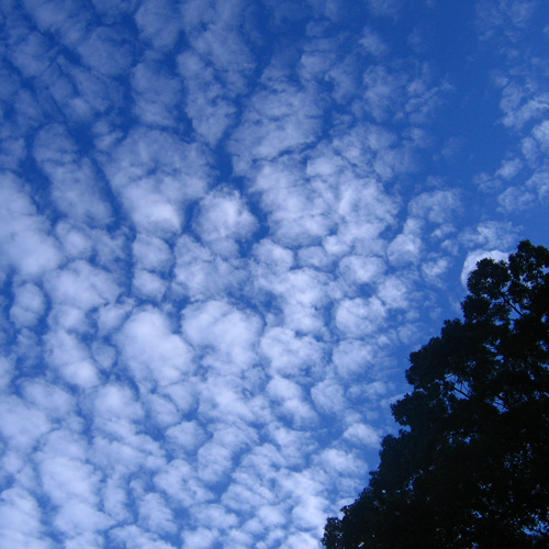 september blue sky