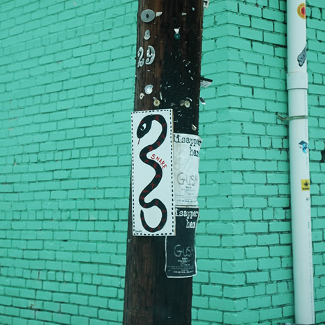 black snake