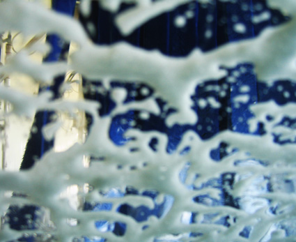 car wash