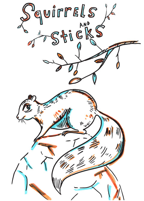 squirrel and stick
