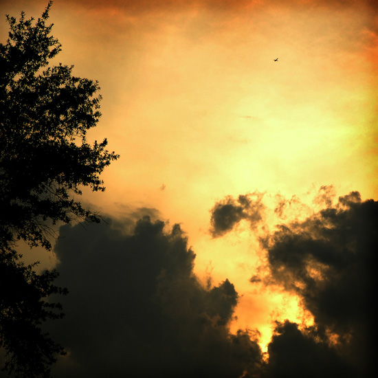 cumulus