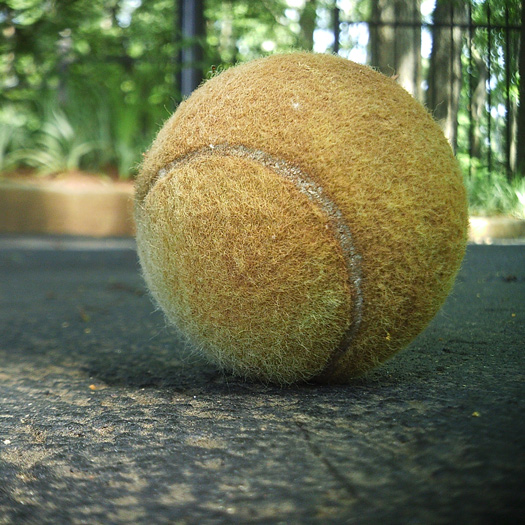 tennis ball
